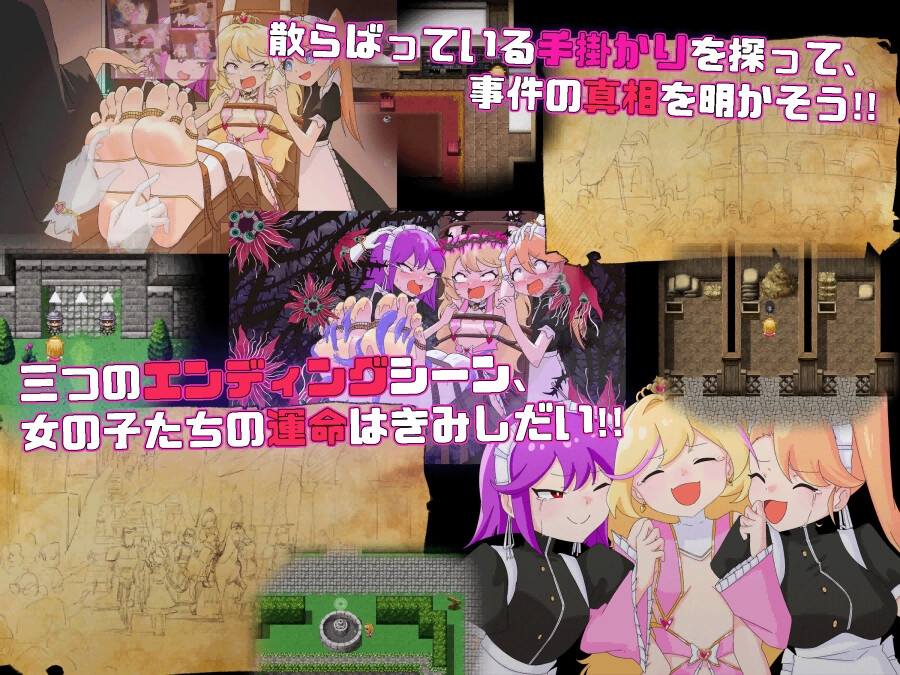 王女エリンと洗脳の星眠村 [Twilight工房]